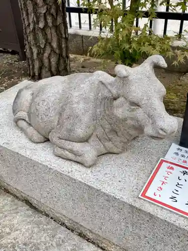 六波羅蜜寺の狛犬