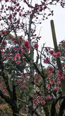 長岡天満宮(京都府)