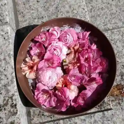 彌彦神社　(伊夜日子神社)の手水舎