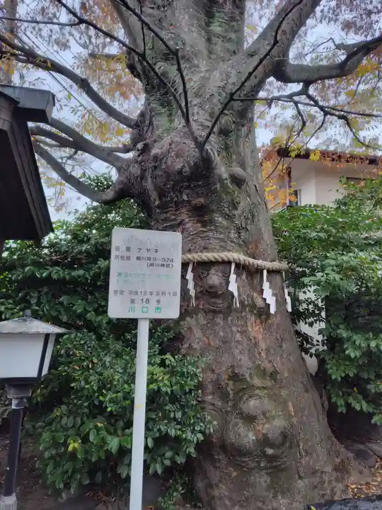 前川神社(埼玉県)