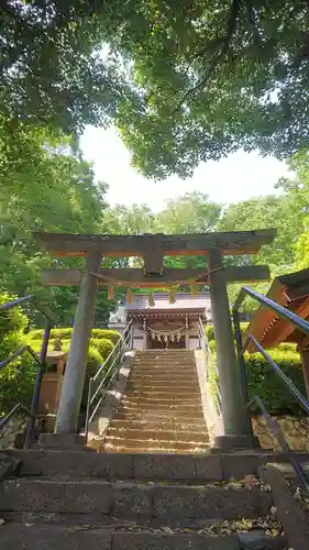 本郷氷川神社の鳥居