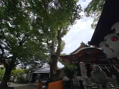 我堂八幡宮(大阪府)