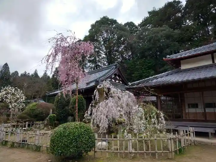 大野寺の自然