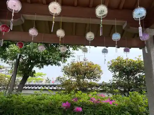 伊和志津神社の{uncategorized: "未分類", other: "その他", undefined: "問題あり", building: "その他建物", grave: "お墓", sacred_gate: "鳥居", guardian: "狛犬", statue: "像", buddha: "仏像", history: "歴史", nature: "自然", garden: "庭園", animal: "動物", pagoda: "塔", temizu: "手水舎", mountain_gate: "山門・神門", sanctuary: "本殿・本堂", subordinate: "末社・摂社", art: "芸術", scenery: "景色", jizo: "地蔵", ema: "絵馬", goshuin: "御朱印", omikuji: "おみくじ", items: "授与品その他", amulet: "お守り", goshuincho: "御朱印帳", eats: "食事", festival: "お祭り", votive_dance: "神楽", shichigosan: "七五三参", wedding: "結婚式", experience: "体験その他", initially: "初詣", around: "周辺", anti_infection: "感染症対策"}