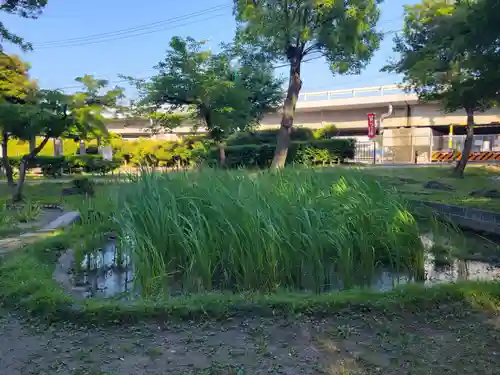知立神社の自然