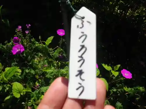 松嶺院(神奈川県)