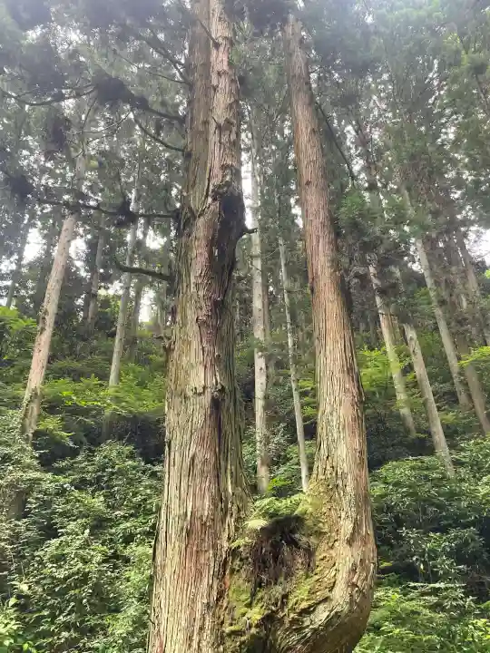 御岩神社(茨城県)