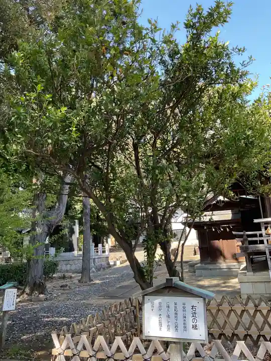 上地八幡宮の庭園