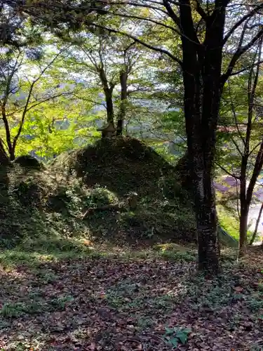 春日神社の自然