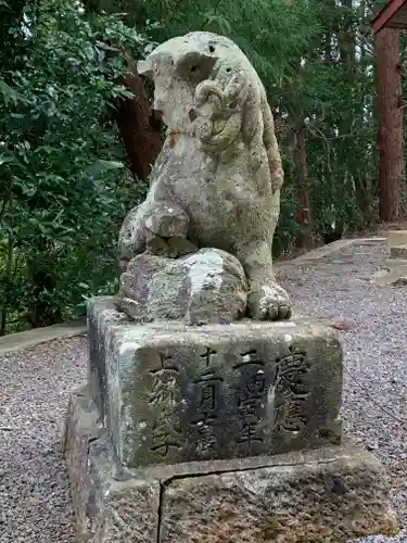 亀賀森神社の狛犬