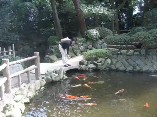 寒川神社の庭園