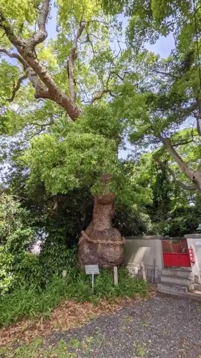 八幡社(下門八幡社)の自然
