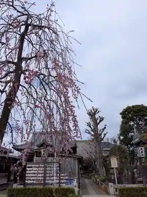 常性寺(東京都)