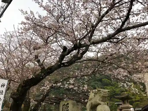 天別豊姫神社の自然