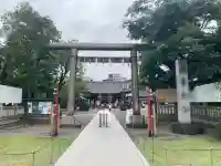 浅草神社の鳥居