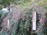 梨木神社の自然