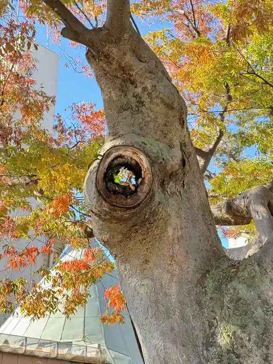 阿邪訶根神社(福島県)