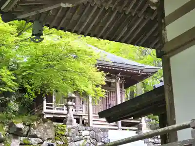 雲辺寺(徳島県)