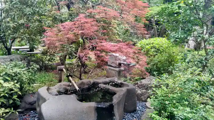 観蔵院 曼荼羅寺(東京都)