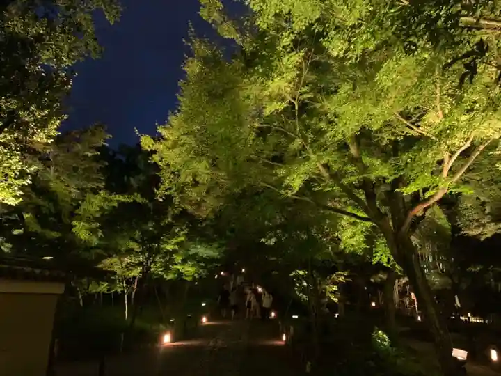 高台寺(高台寿聖禅寺・高臺寺)(京都府)