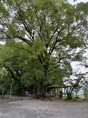 千栗八幡宮(佐賀県)