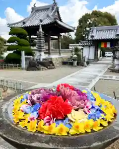 真言宗 善通寺派 薬王寺(香川県)(2023年02月21日(火) 18時40分33秒投稿)