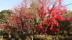 浄妙寺(神奈川県)