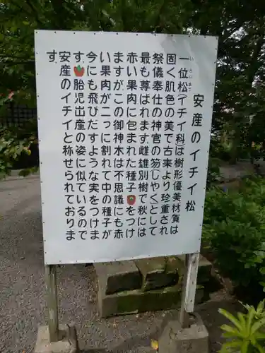 比布神社の歴史