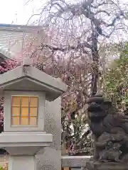 牛天神北野神社(東京都)