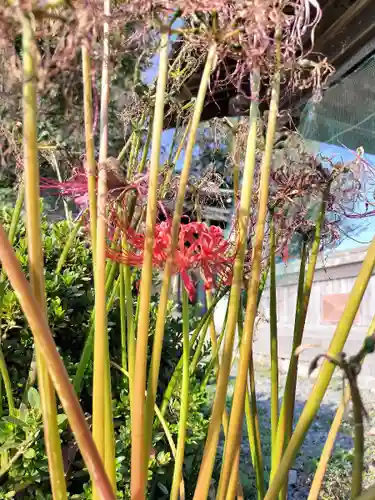 小川月神社(京都府)