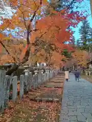 華厳寺(岐阜県)