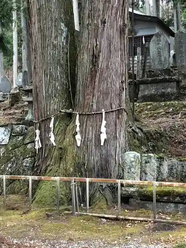 駒ヶ嶽神社（前宮）の自然