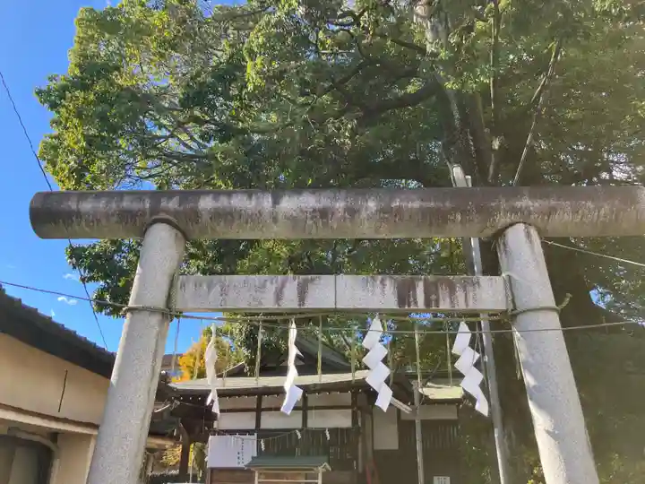 須賀神社(東京都)