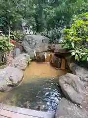 生田神社のおみくじ