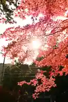 大瀧神社(滋賀県)