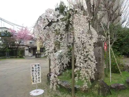 長建寺の庭園