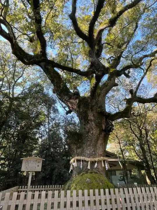 熱田神宮の自然