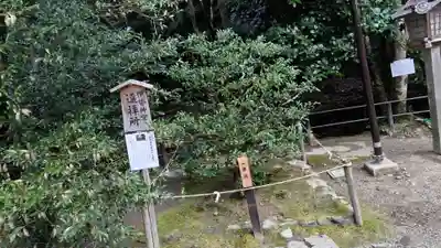 賀茂別雷神社（上賀茂神社）(京都府)