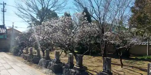 勝福寺の景色