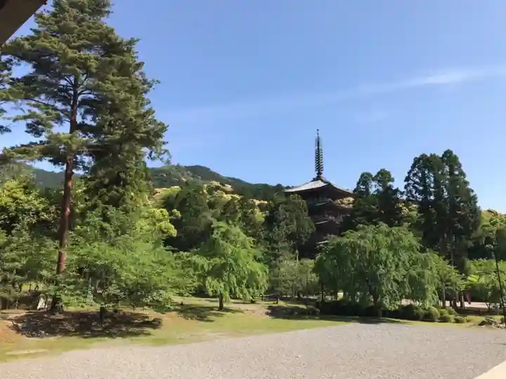 醍醐寺(京都府)