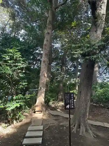 鶴嶺八幡宮の{uncategorized: "未分類", other: "その他", undefined: "問題あり", building: "その他建物", grave: "お墓", sacred_gate: "鳥居", guardian: "狛犬", statue: "像", buddha: "仏像", history: "歴史", nature: "自然", garden: "庭園", animal: "動物", pagoda: "塔", temizu: "手水舎", mountain_gate: "山門・神門", sanctuary: "本殿・本堂", subordinate: "末社・摂社", art: "芸術", scenery: "景色", jizo: "地蔵", ema: "絵馬", goshuin: "御朱印", omikuji: "おみくじ", items: "授与品その他", amulet: "お守り", goshuincho: "御朱印帳", eats: "食事", festival: "お祭り", votive_dance: "神楽", shichigosan: "七五三参", wedding: "結婚式", experience: "体験その他", initially: "初詣", around: "周辺", anti_infection: "感染症対策"}