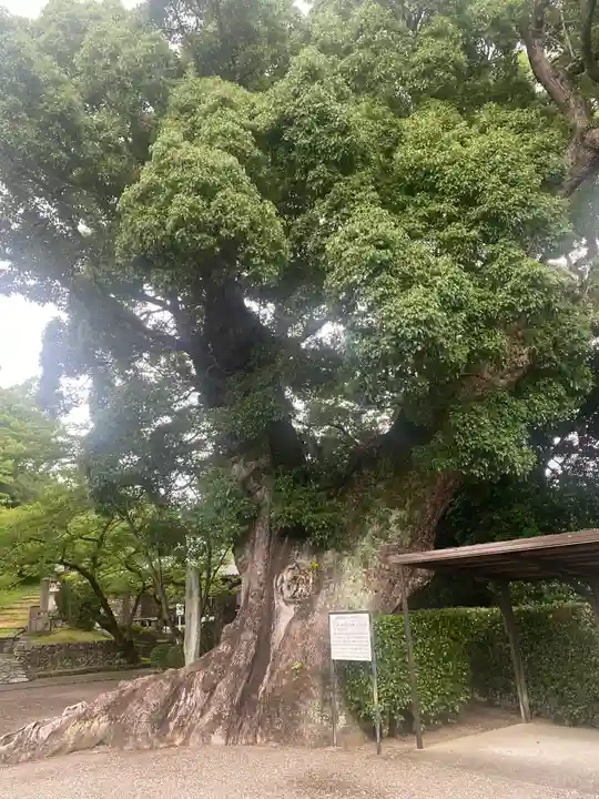 粉河寺(和歌山県)