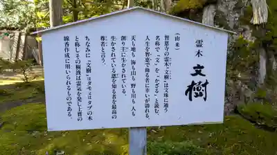 智恩寺(京都府)