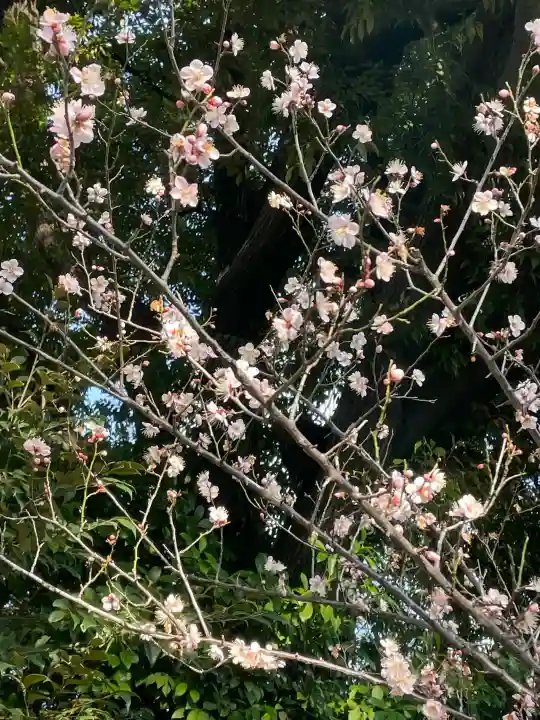 愛宕神社の{uncategorized: "未分類", other: "その他", undefined: "問題あり", building: "その他建物", grave: "お墓", sacred_gate: "鳥居", guardian: "狛犬", statue: "像", buddha: "仏像", history: "歴史", nature: "自然", garden: "庭園", animal: "動物", pagoda: "塔", temizu: "手水舎", mountain_gate: "山門・神門", sanctuary: "本殿・本堂", subordinate: "末社・摂社", art: "芸術", scenery: "景色", jizo: "地蔵", ema: "絵馬", goshuin: "御朱印", omikuji: "おみくじ", items: "授与品その他", amulet: "お守り", goshuincho: "御朱印帳", eats: "食事", festival: "お祭り", votive_dance: "神楽", shichigosan: "七五三参", wedding: "結婚式", experience: "体験その他", initially: "初詣", around: "周辺", anti_infection: "感染症対策"}