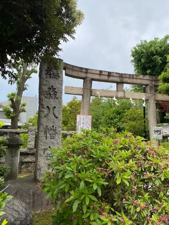 鳩森八幡神社の鳥居