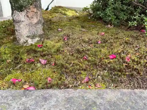 西方山極楽寺(岐阜県)