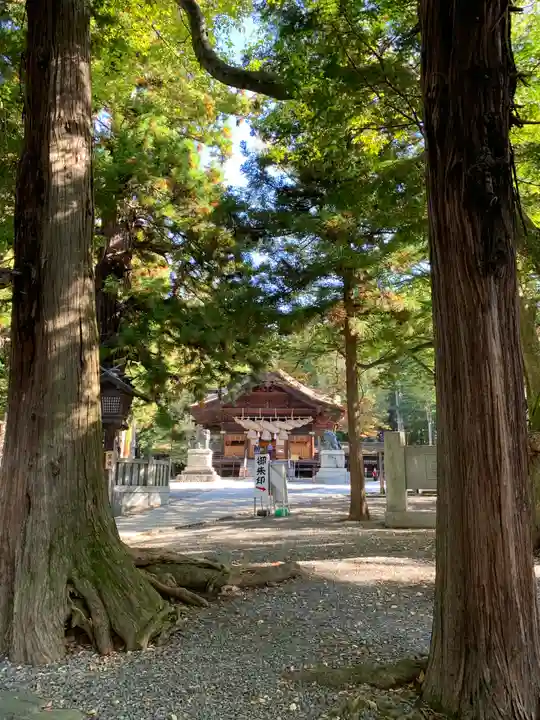 諏訪大社下社秋宮(長野県)