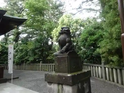 白旗神社の狛犬