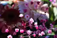 豊景神社の手水舎