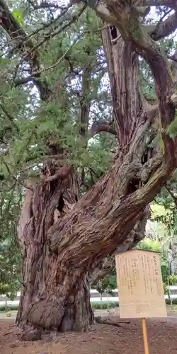 建長寺(神奈川県)